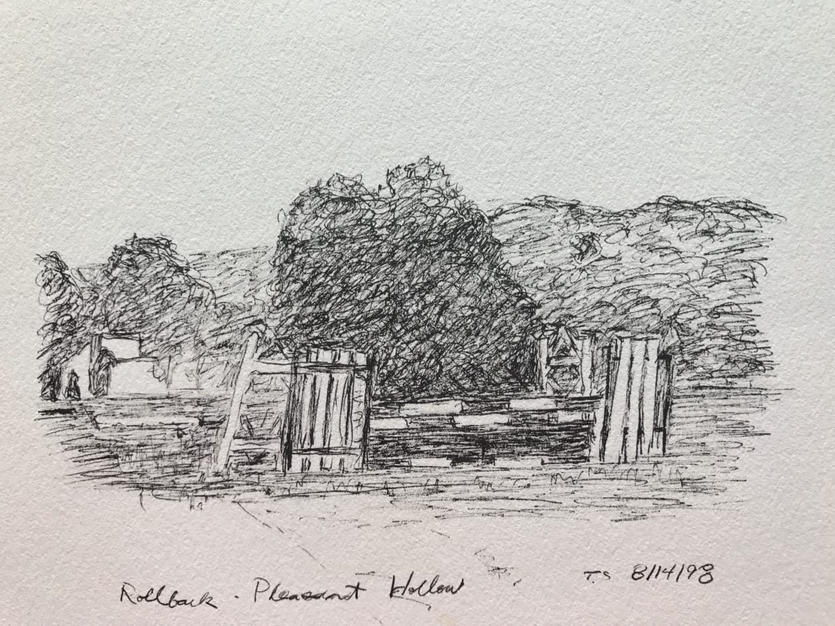 Rollback-Pleasant Hollow by Todd Stone 