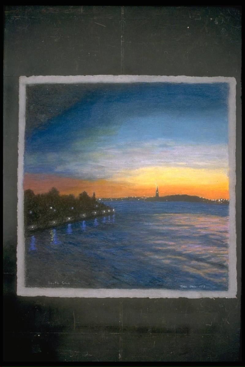 South Cove by Todd Stone 