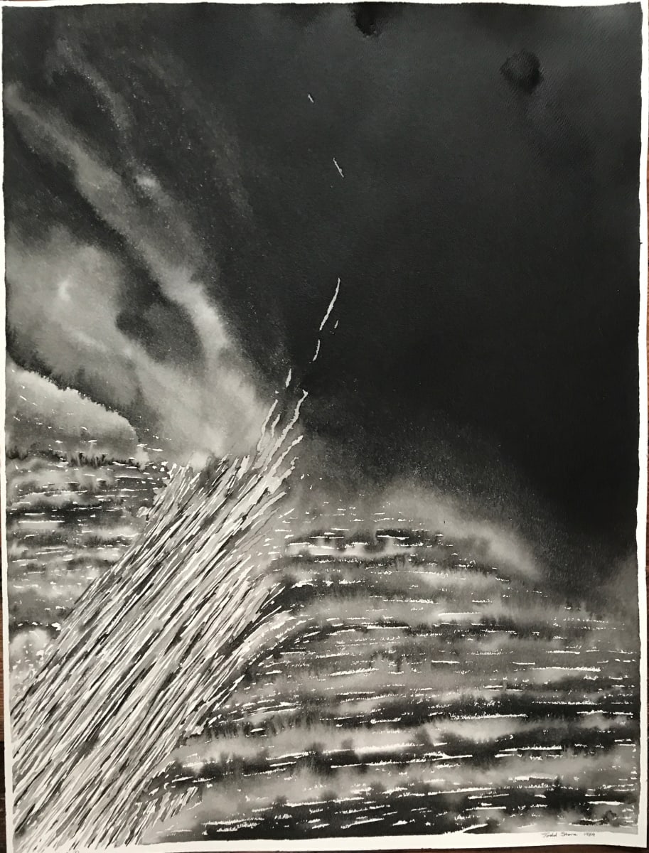 Spring Study D by Todd Stone 