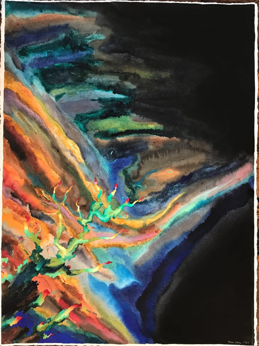 Spring I by Todd Stone 