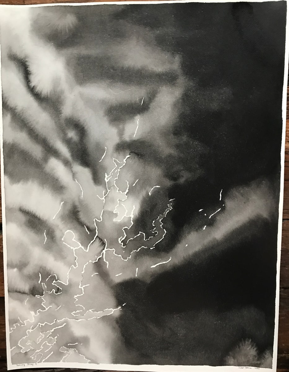 Spring Study C by Todd Stone 