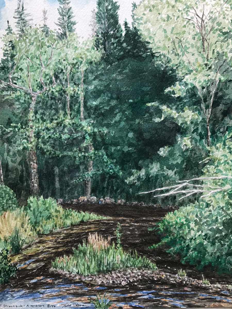 Streamside-Alderbrook by Todd Stone, Image 1.