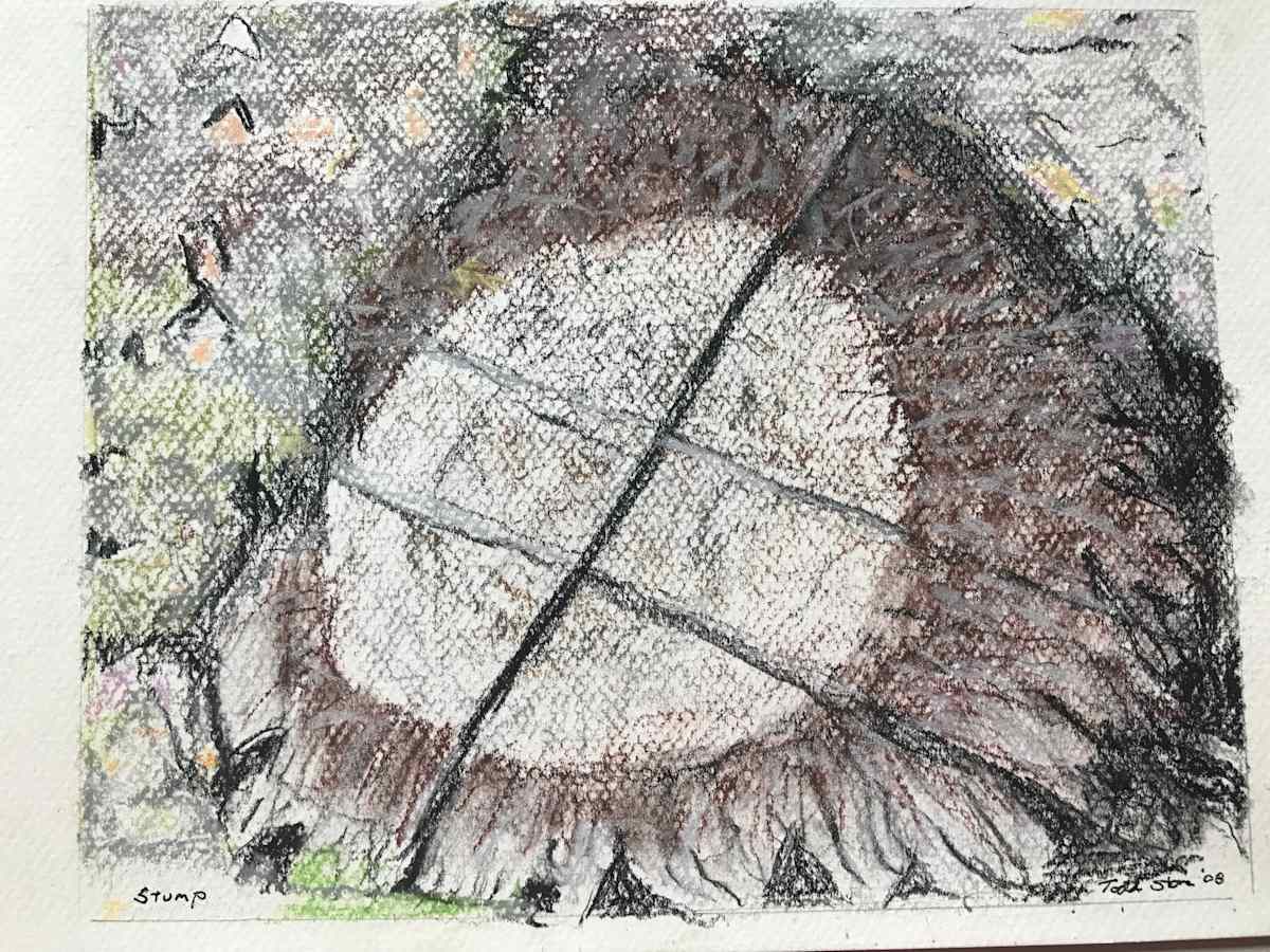 Stump by Todd Stone 