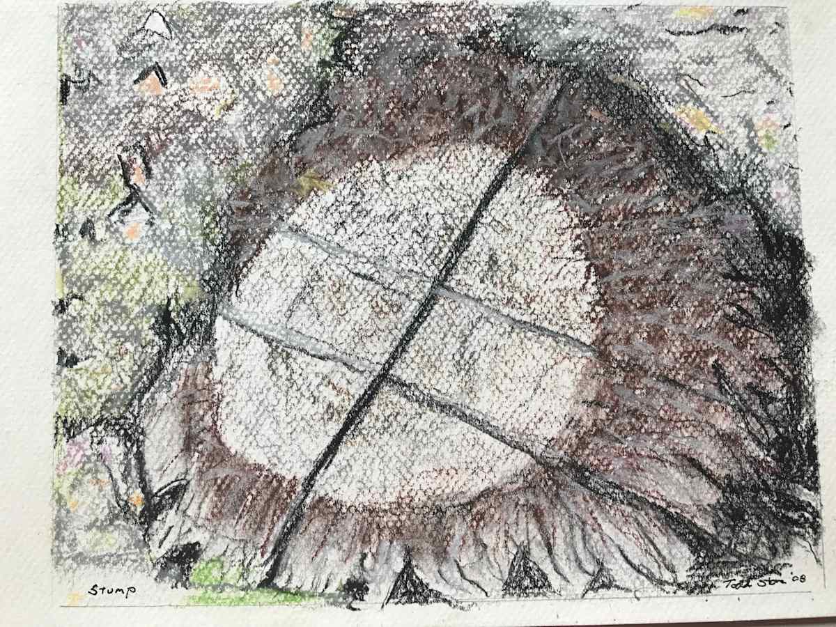 Stump by Todd Stone, Image 1.