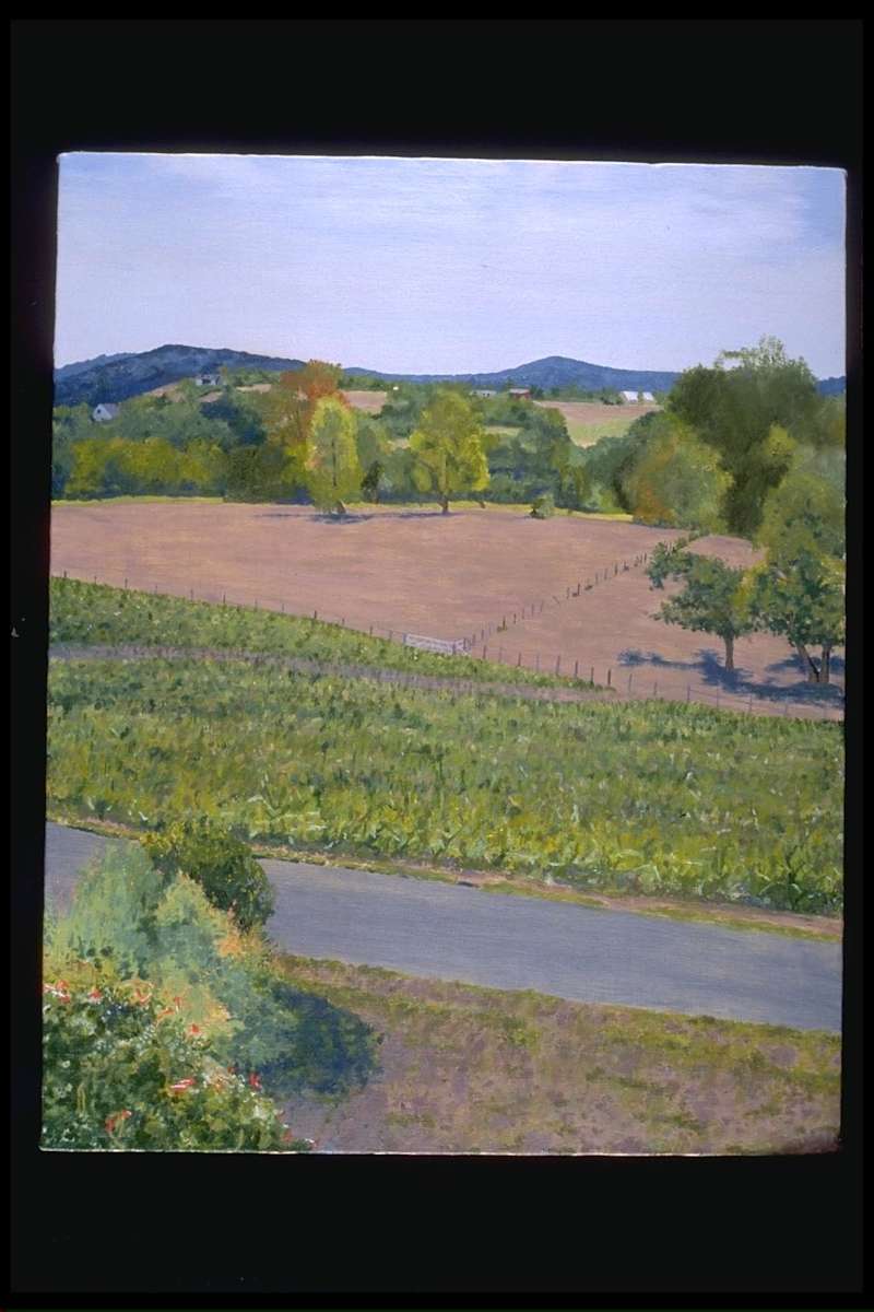 Summerburn by Todd Stone, Image 1.