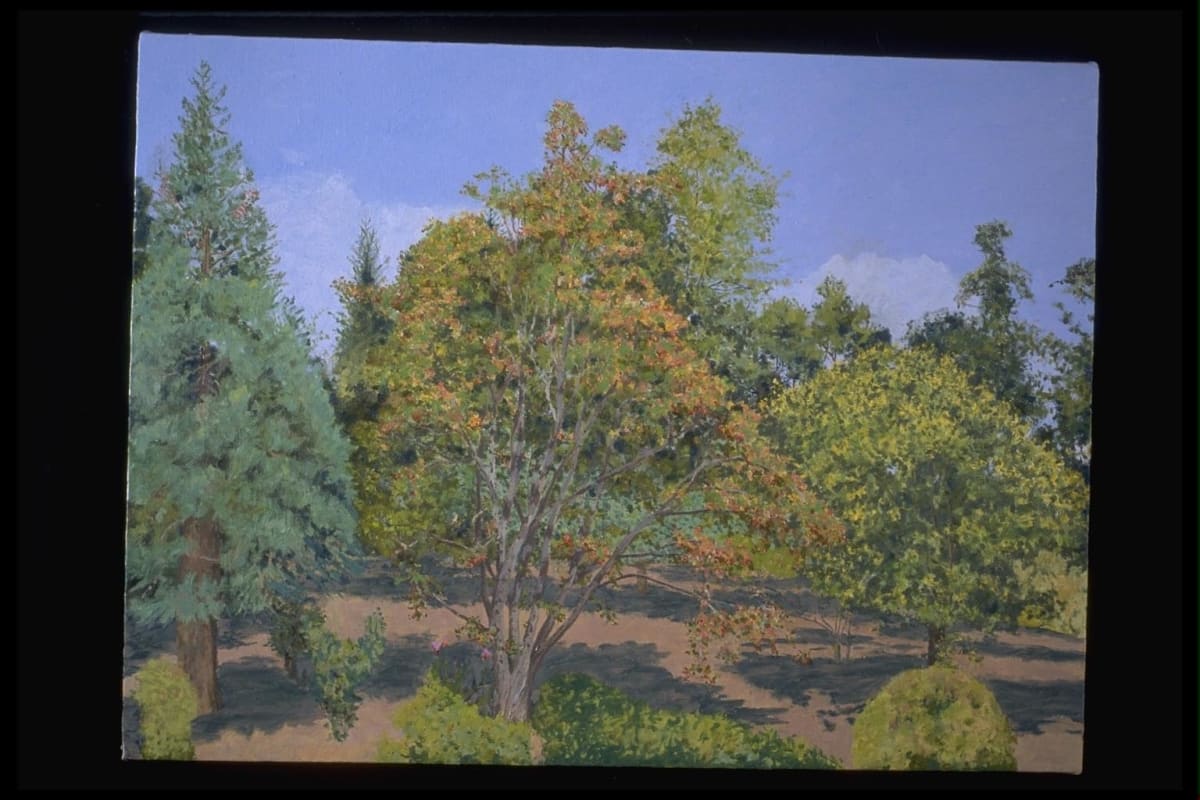 Summershimmer by Todd Stone 