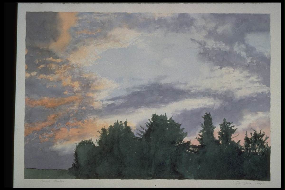 Sunset Treeline by Todd Stone, Image 1.