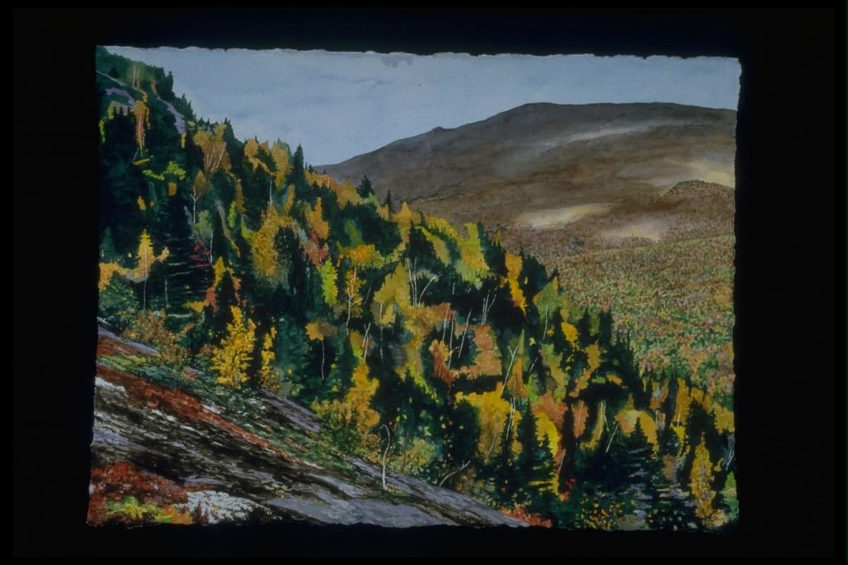 The Ridge by Todd Stone 