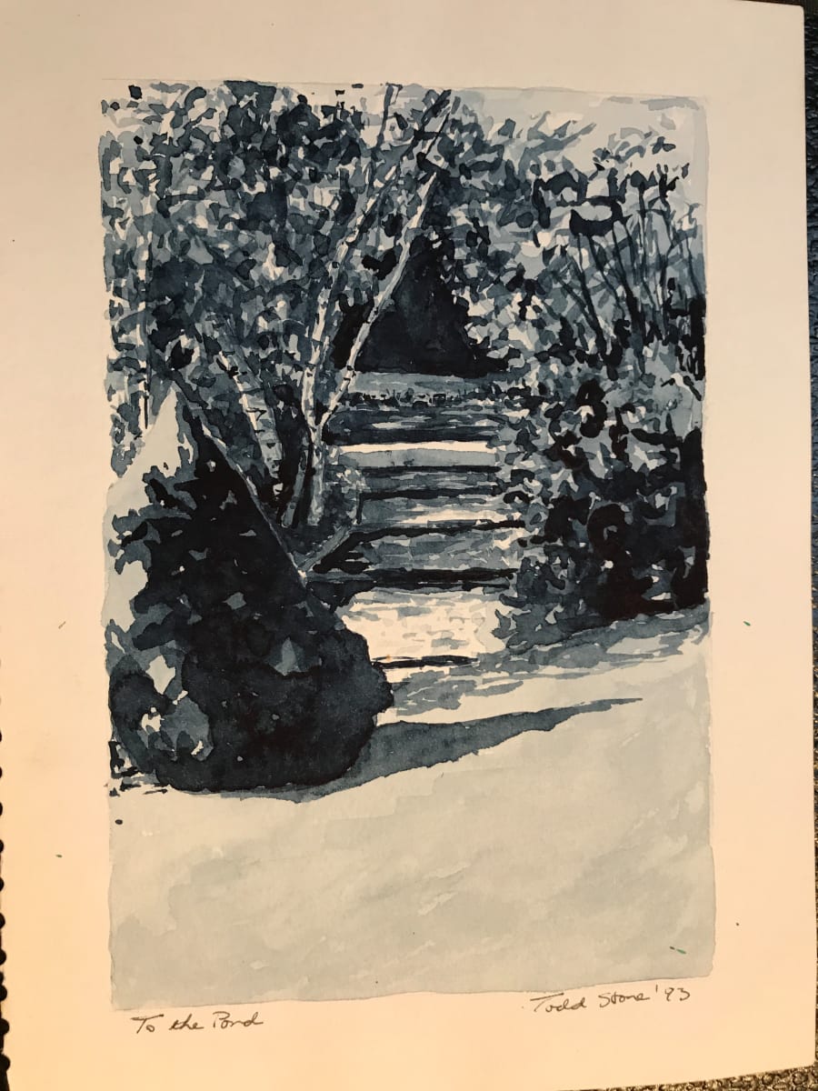 To the Pond by Todd Stone 