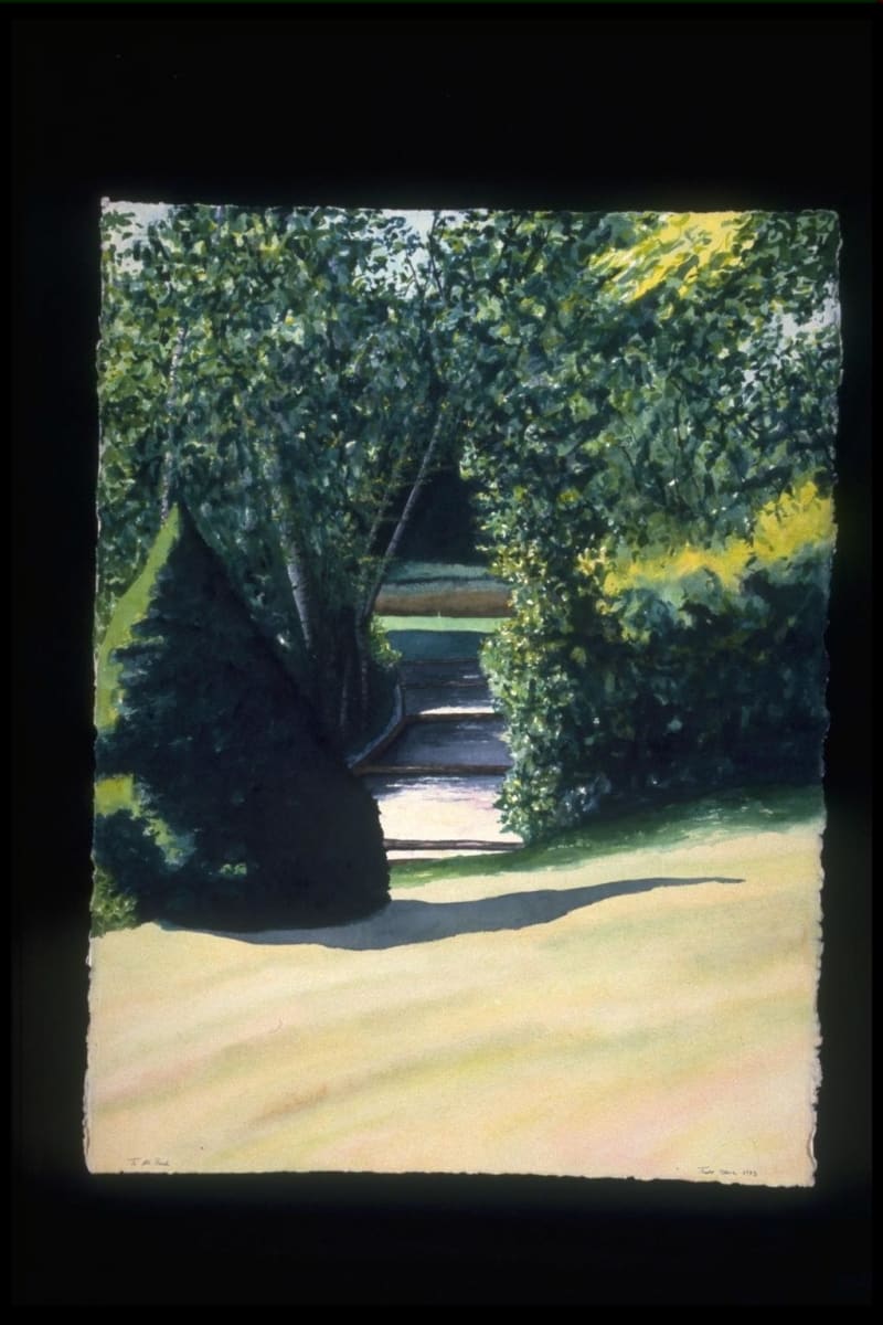 To the Pond by Todd Stone 