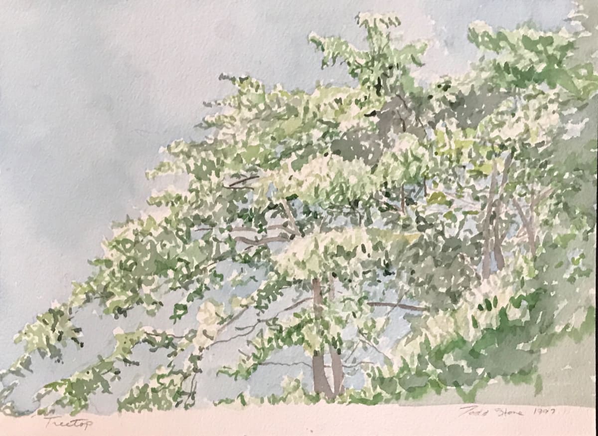 Treetop by Todd Stone 