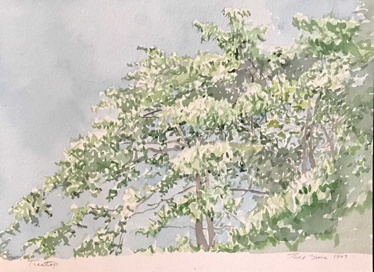 Treetop by Todd Stone, Image 1.