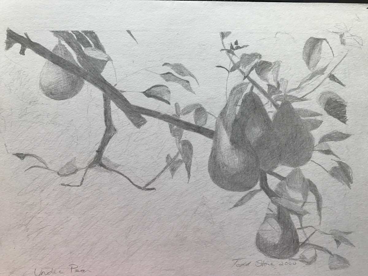 Under Pear by Todd Stone, Image 1.