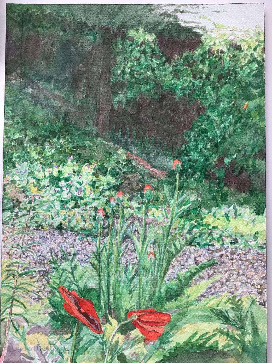 Under the Fence by Todd Stone 