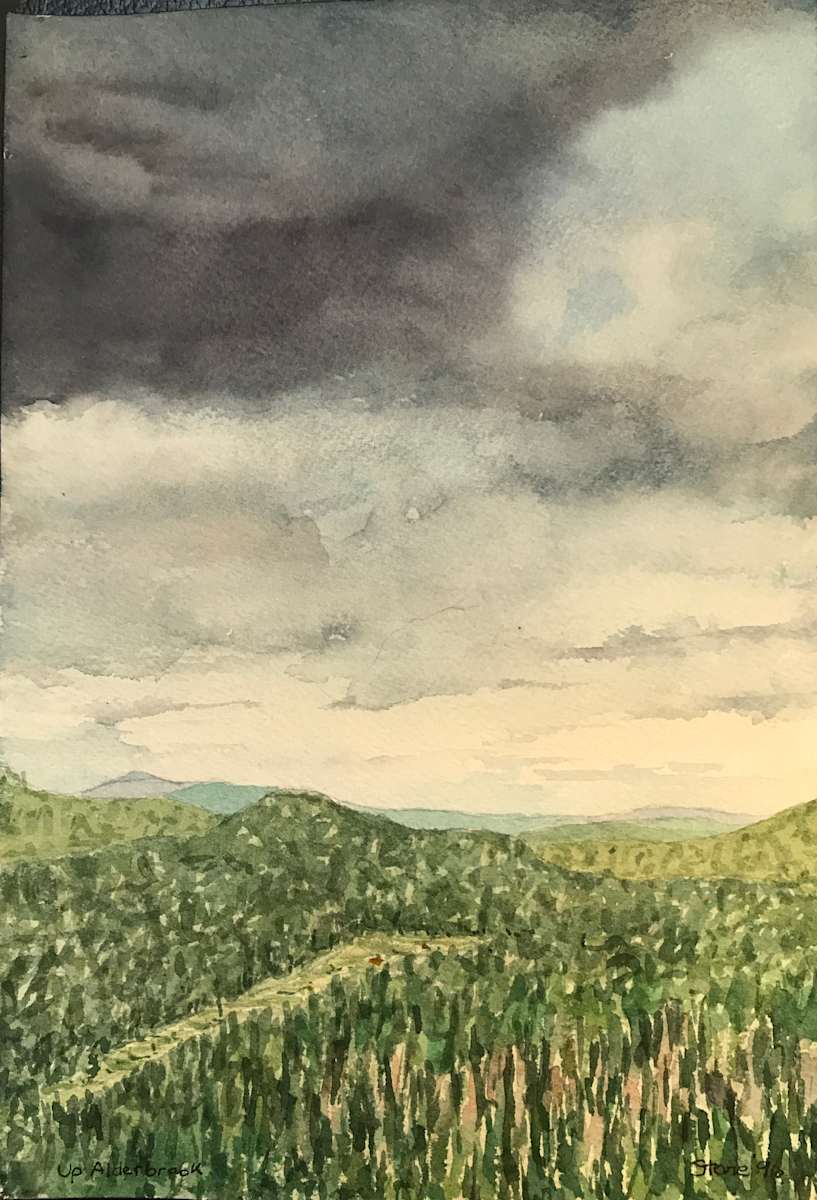 Up Alderbrook by Todd Stone, Image 1.