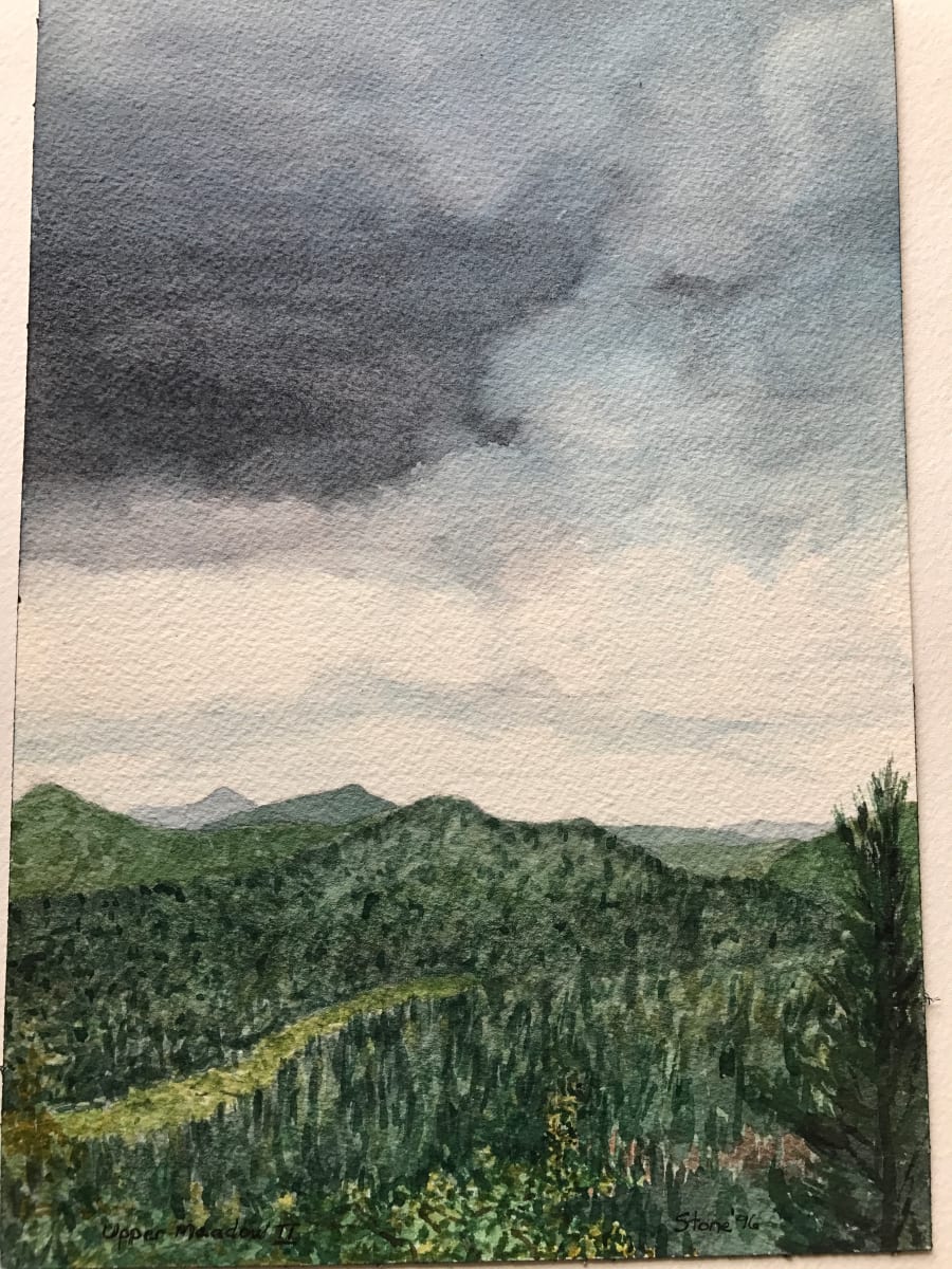 Upper Meadow II by Todd Stone 