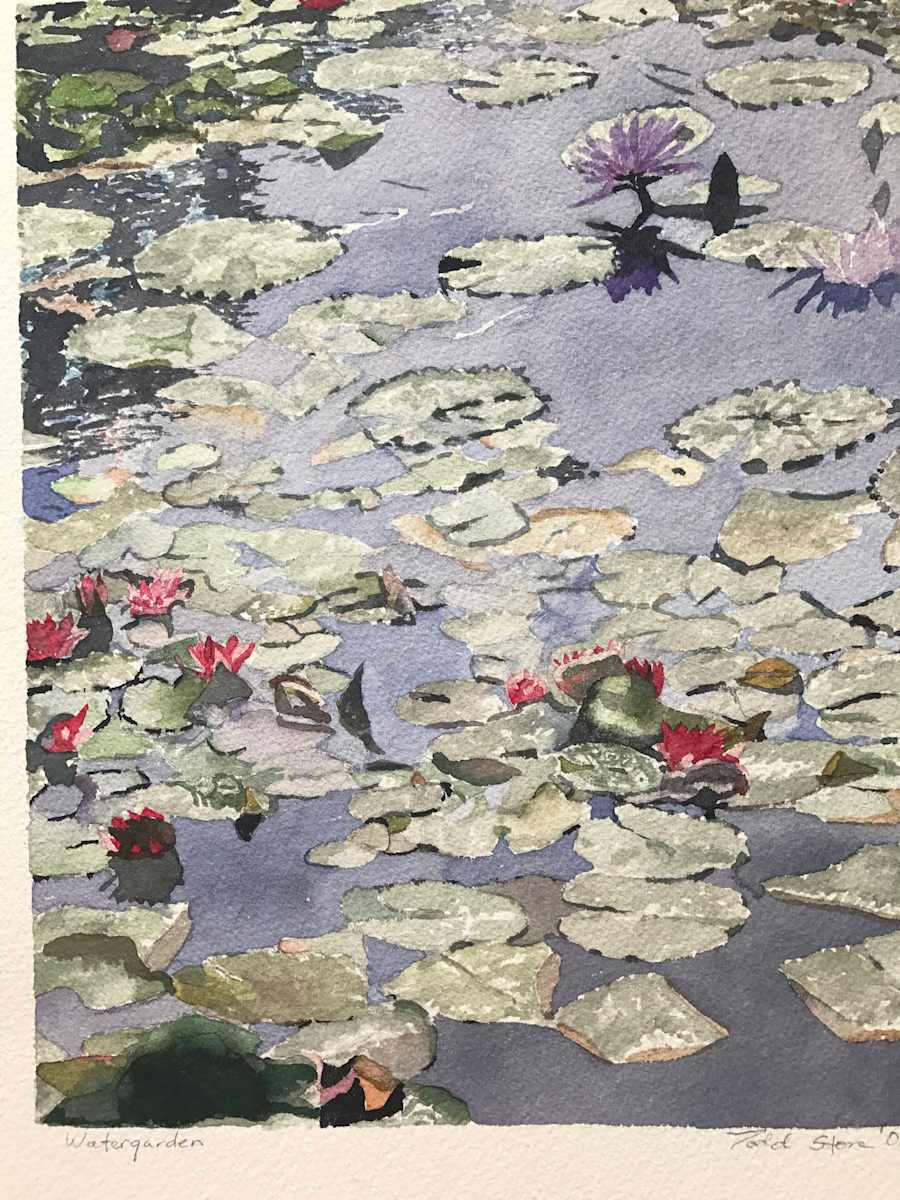 Water Garden by Todd Stone, Image 1.