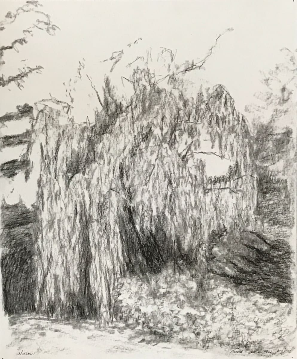 Willow by Todd Stone 