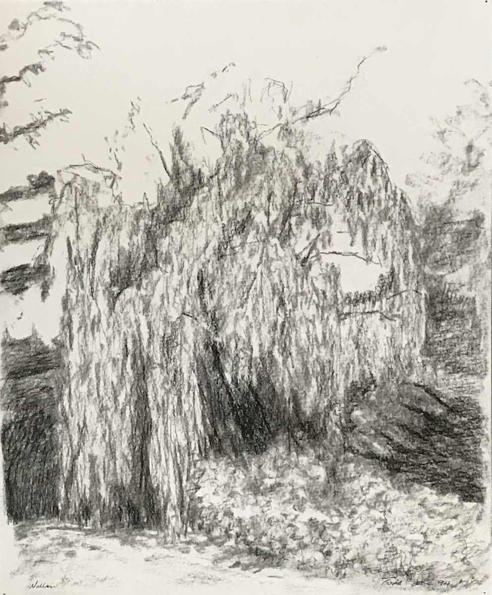 Willow by Todd Stone, Image 1.
