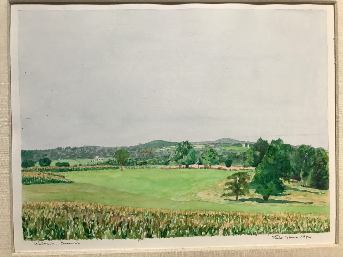 Wilmer’s -Summer by Todd Stone 