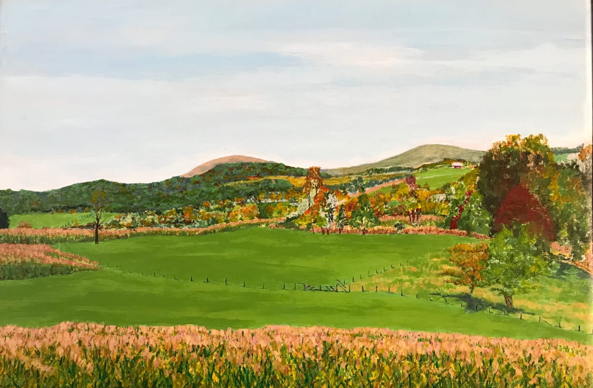 Wilmer's Field by Todd Stone 