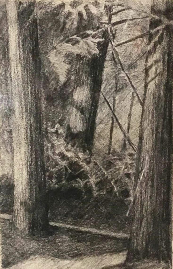 Lyme Studio Forest by Felice (Phil) Panagrosso 