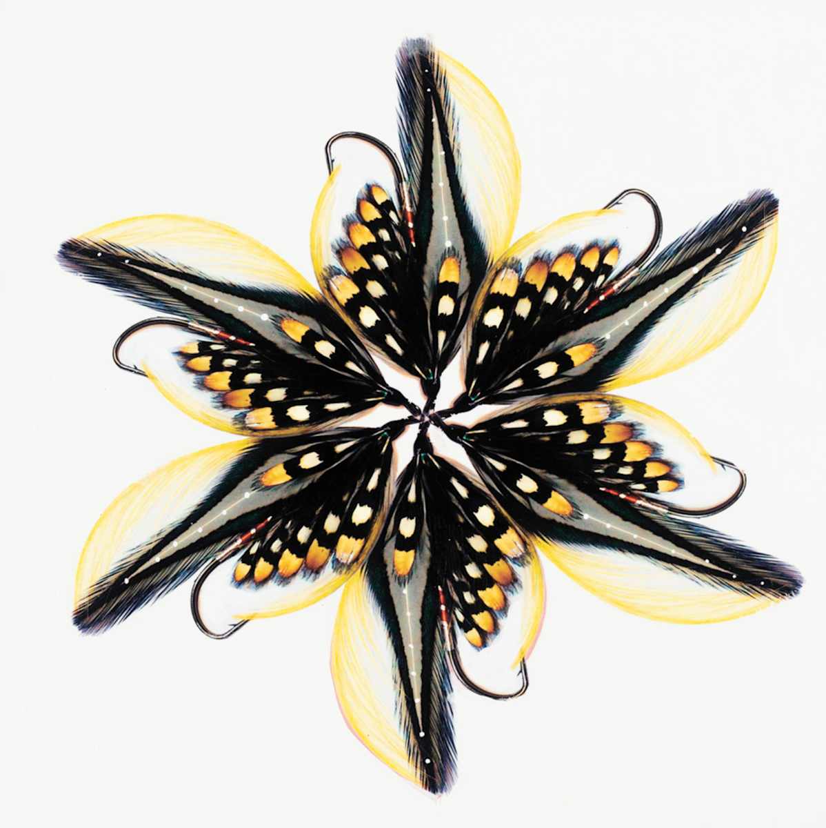 Fly 5 by Anke Schofield, Image 1.