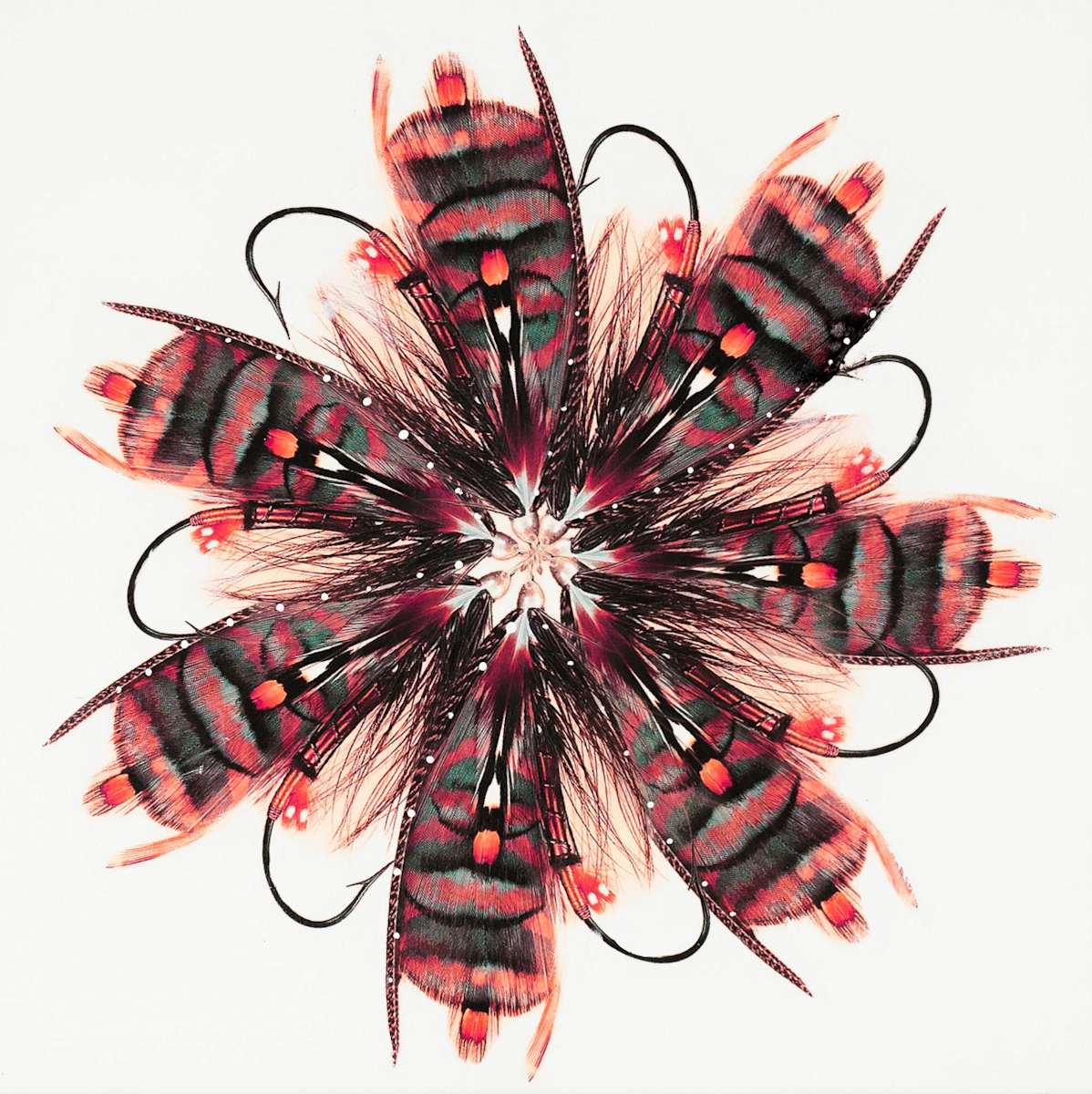 Fly 4 by Anke Schofield, Image 1.