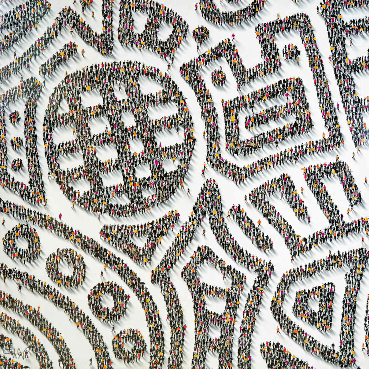 Populus: Global Grid Delineation by Craig Alan, Image 1.