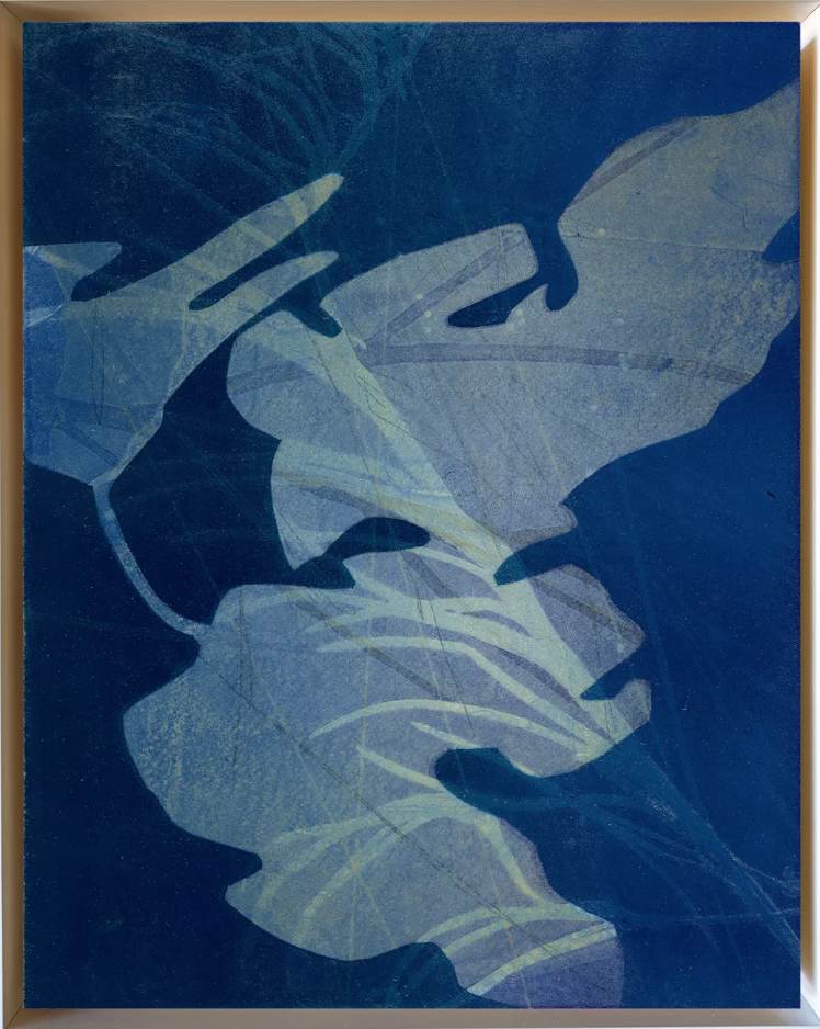 Terni 8/Fig by Nina Tichava, Image 1.