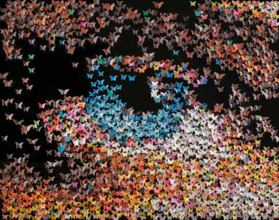 Eye by Joel Amit, Image 1.