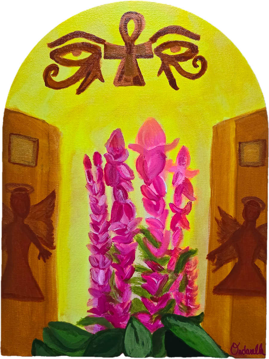 Salvia sclarea Paradox by Ondarella, Image 3.