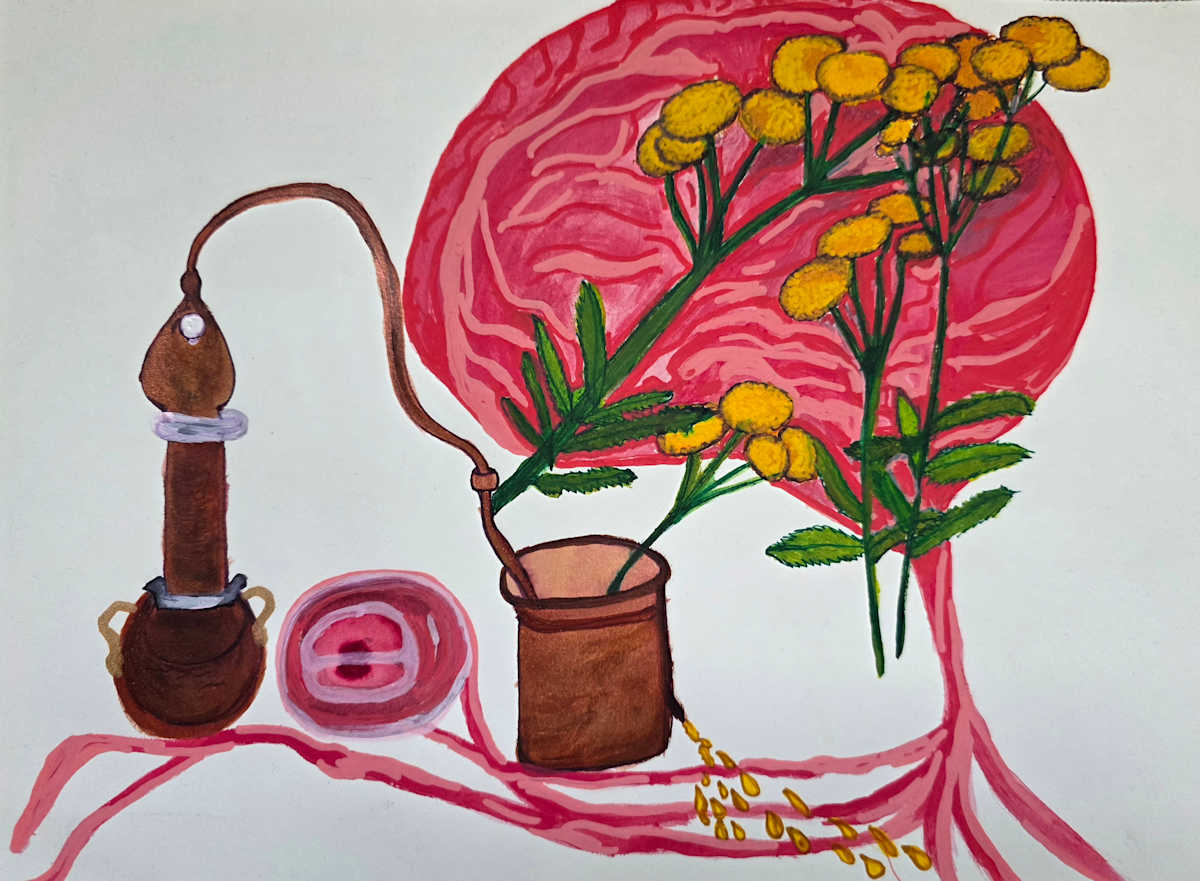 Neurotoxic Tansy by Ondarella, Image 1.