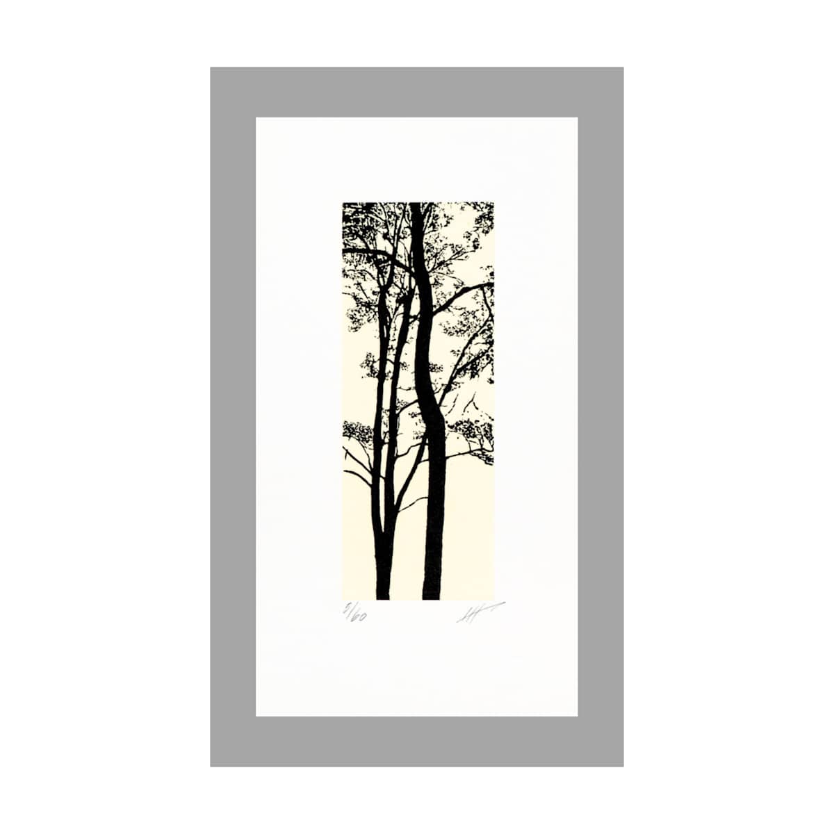 Serie C.II by Jan Hendrix, Image 1.