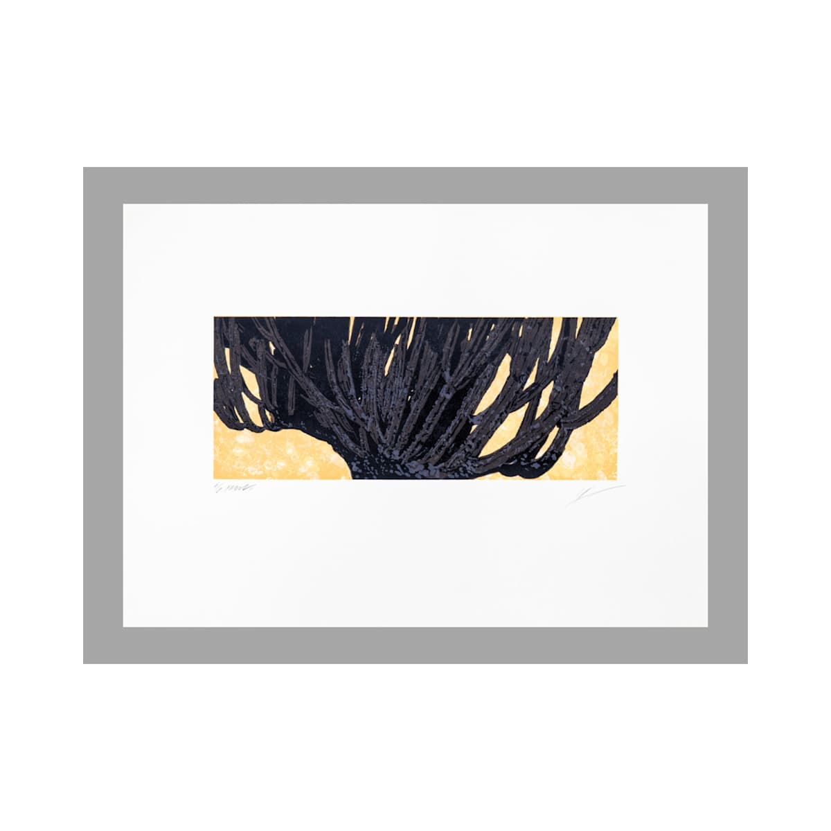 Yagul I by Jan Hendrix, Image 1.