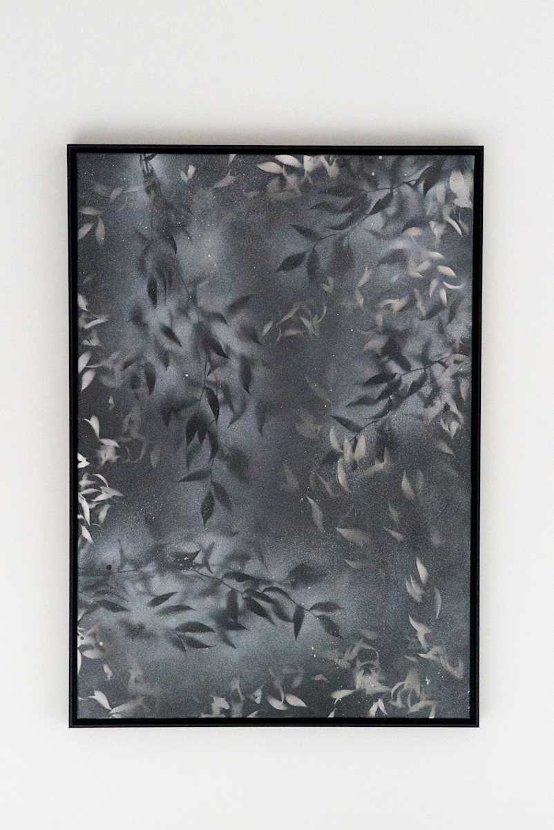 Ephemeral Poetries v8 by Tiffany Matos, Image 4.
