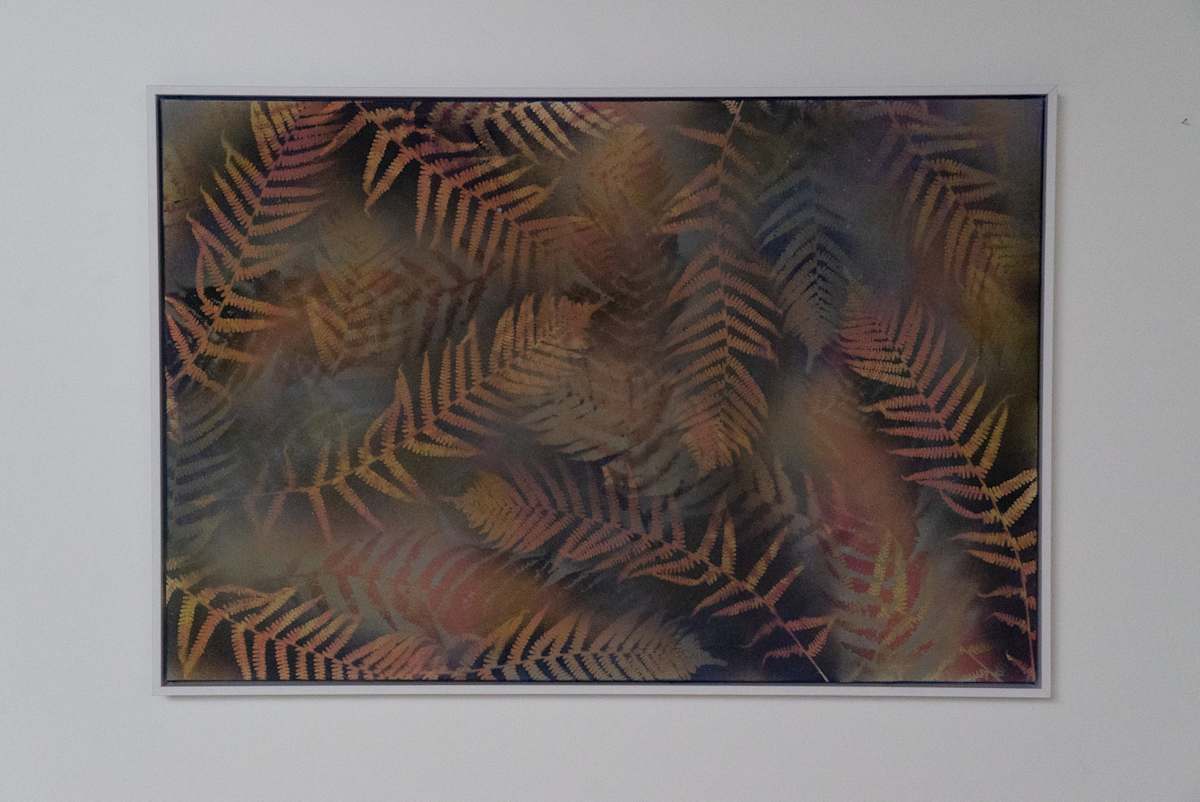 Ephemeral Poetries v4 by Tiffany Matos, Image 13.