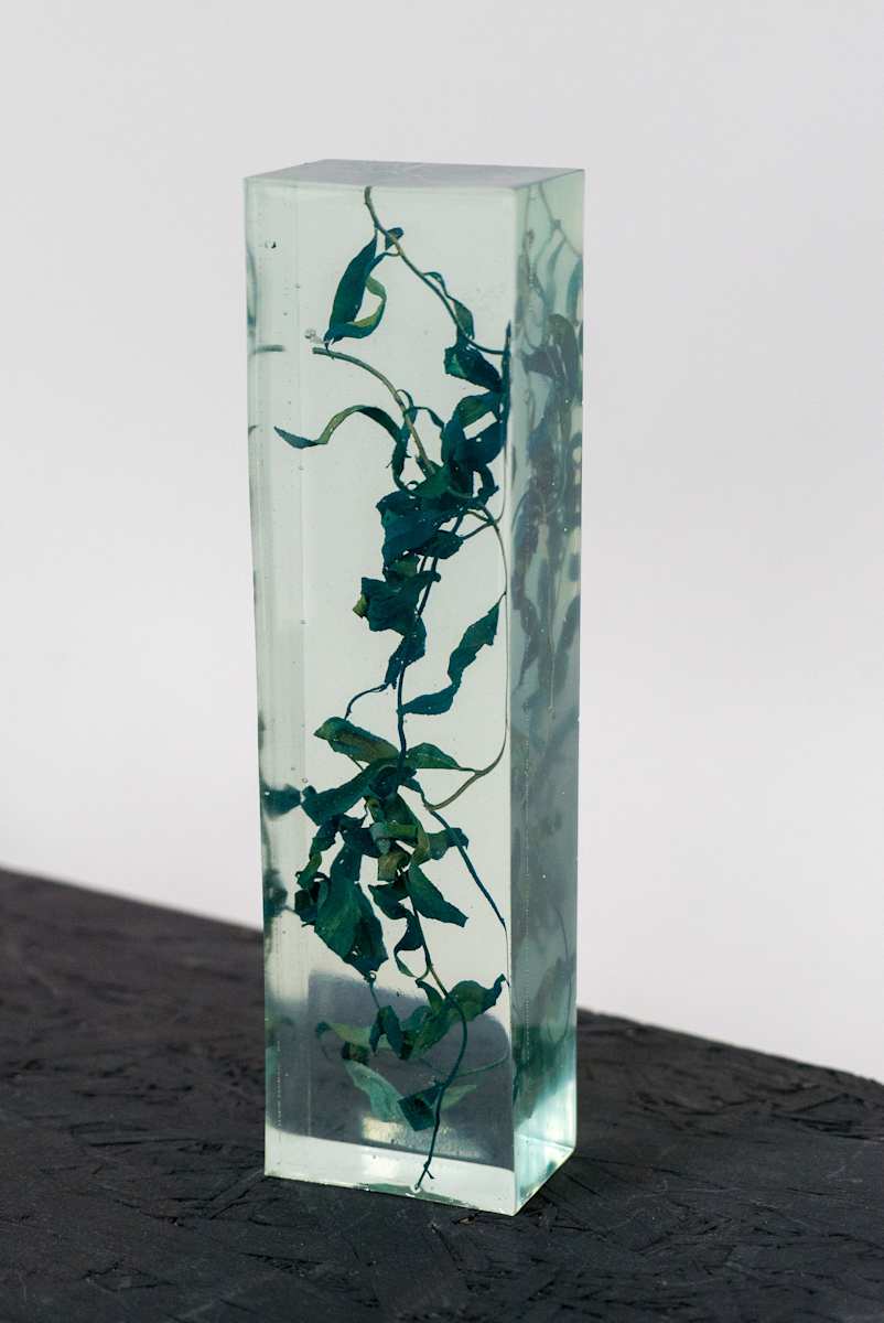 Ephemeral to Eternal v1 by Tiffany Matos, Image 1.