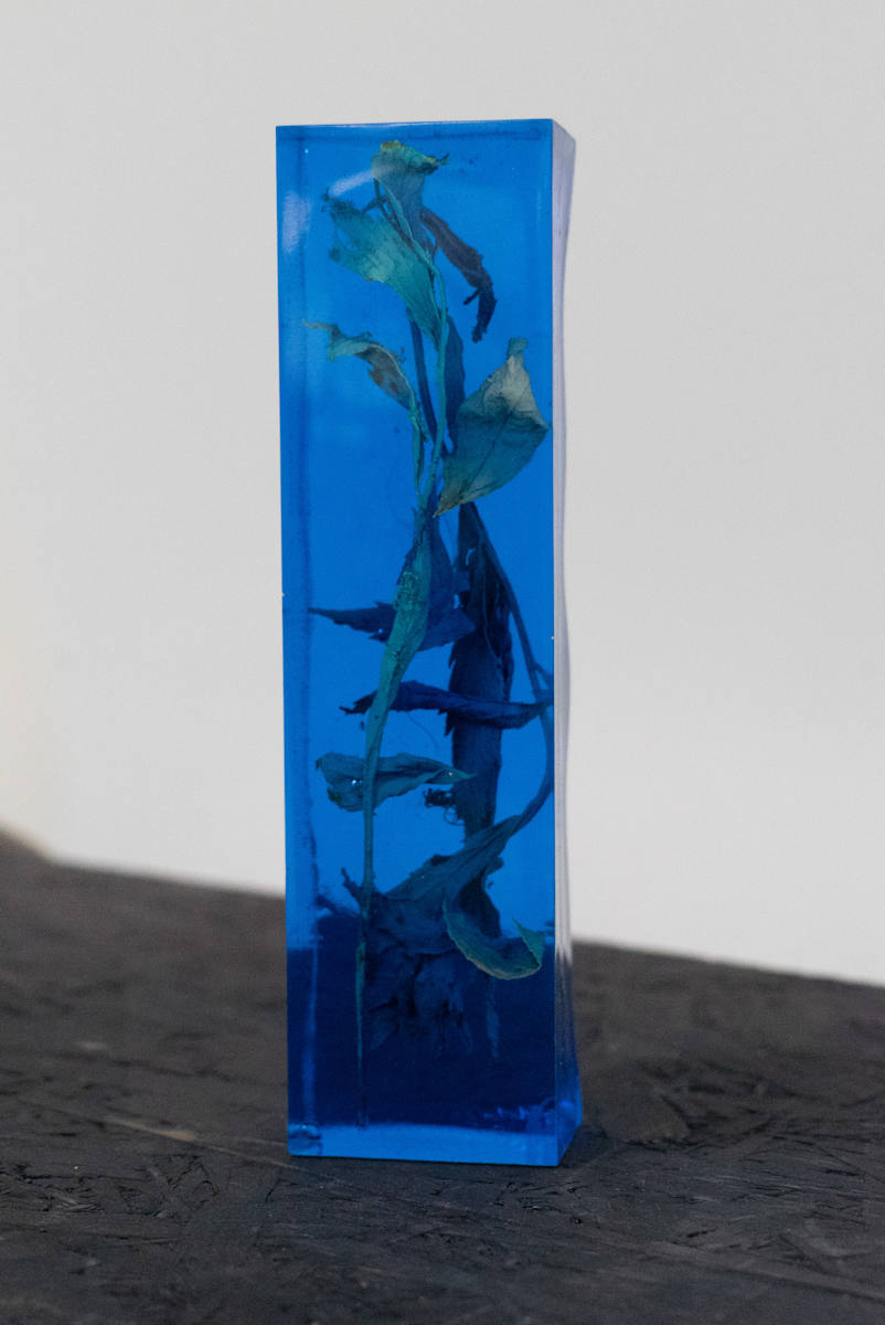 Ephemeral to Eternal v2 by Tiffany Matos, Image 1.