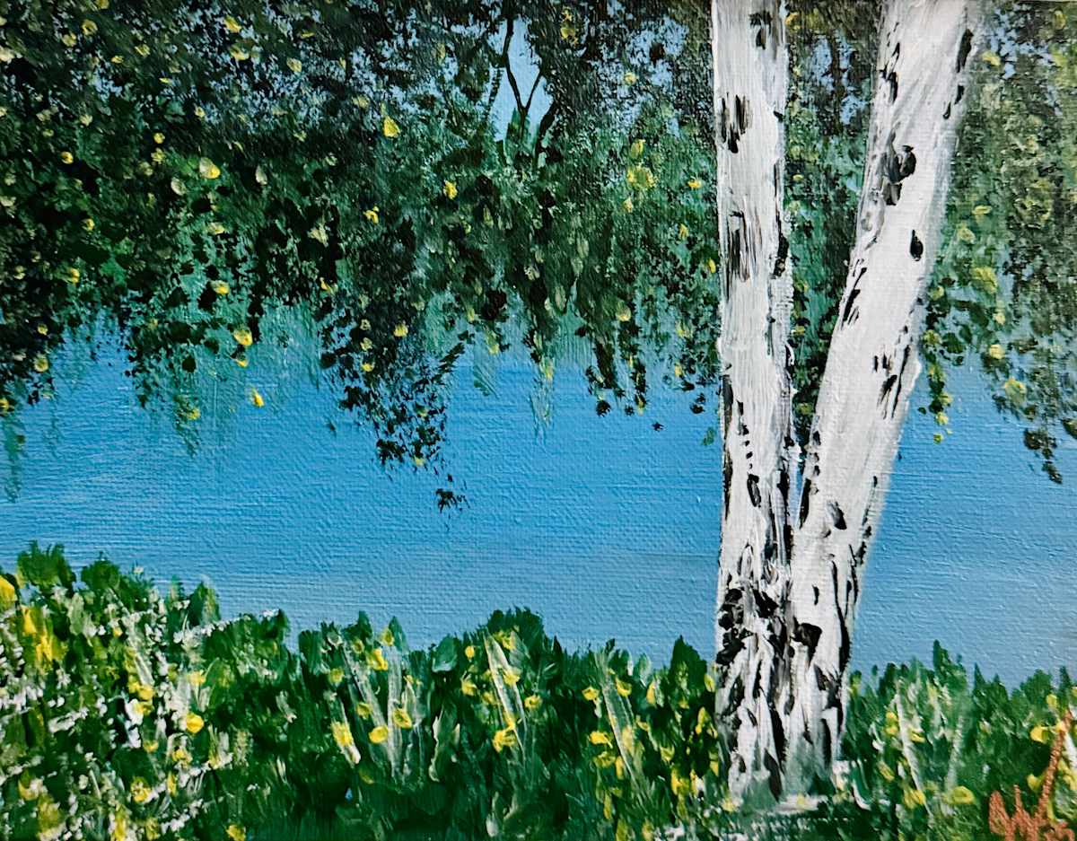 Growing Birch by J. Vadala, Image 1.