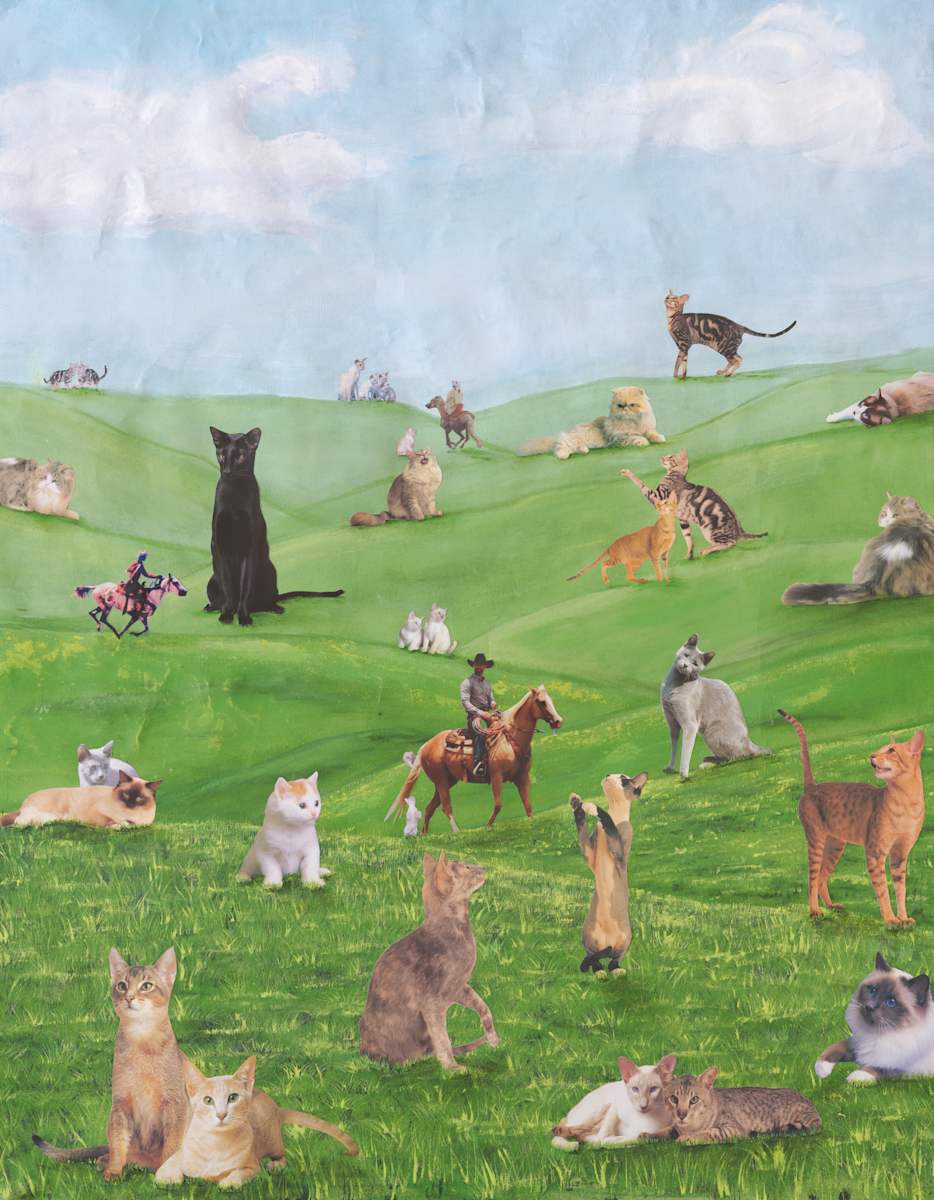 Herding Cats by Danielle Blanchette, Image 1.