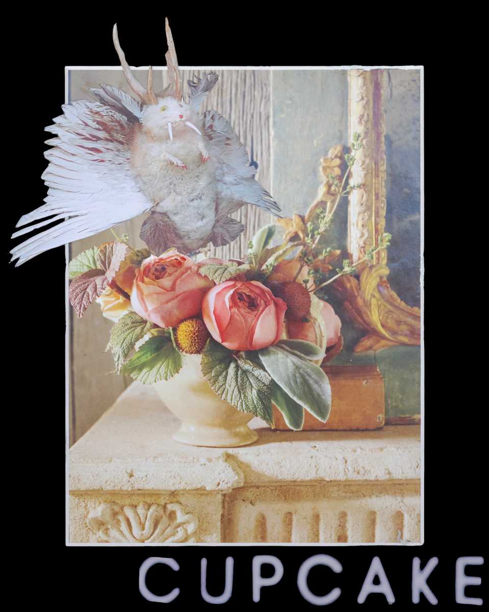Cupcake by Danielle Blanchette, Image 1.