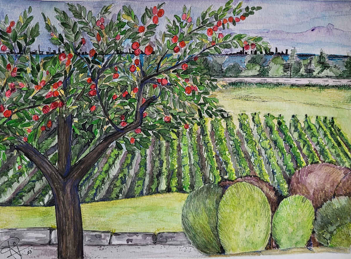 Apples by the Wine by Rajshree Jena 