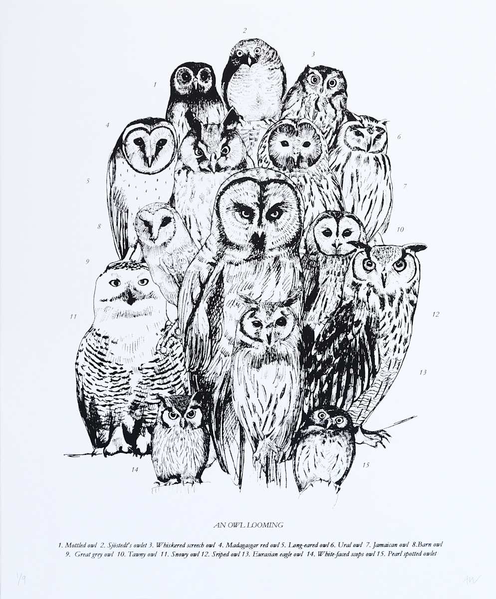 An Owl Looming by Anna Walsh, Image 1.