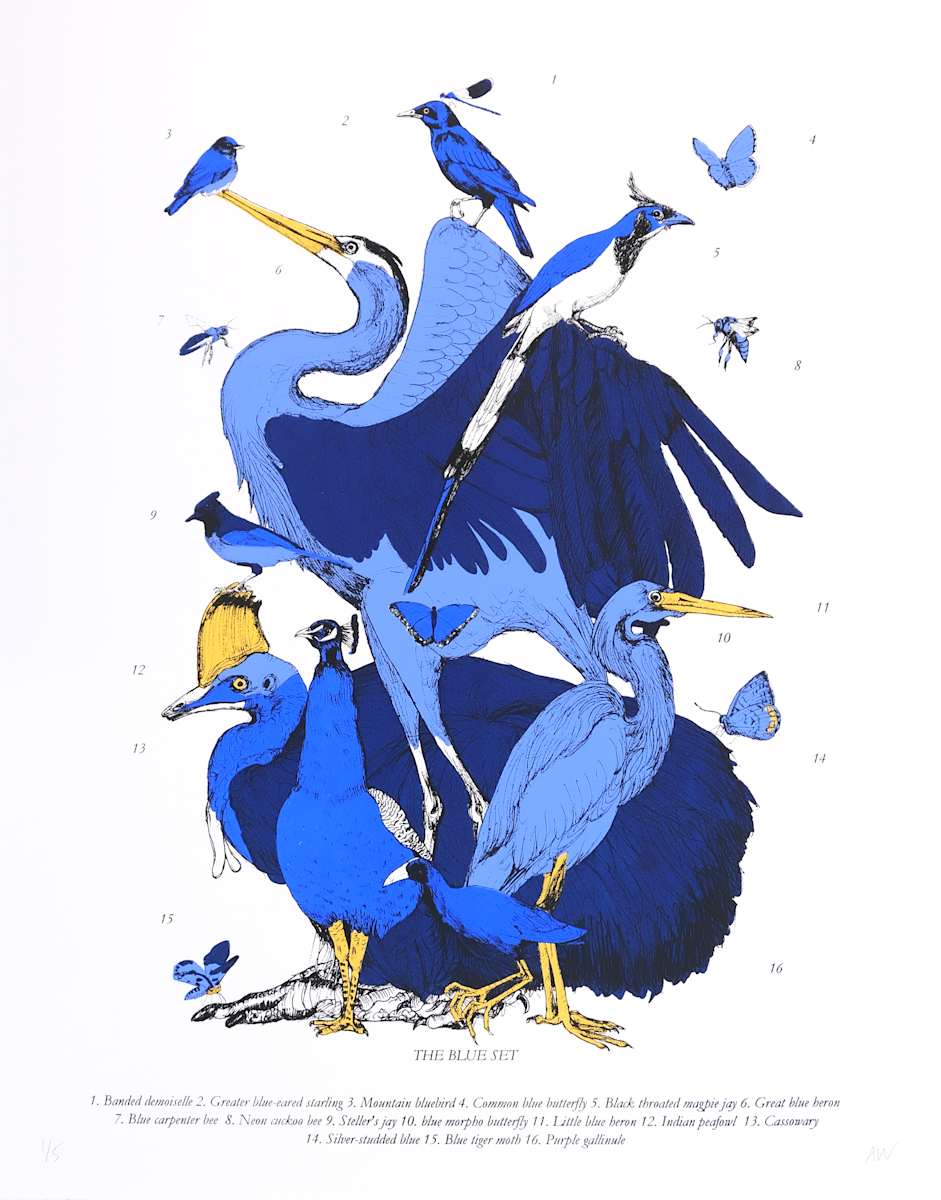 The Blue Set by Anna Walsh, Image 1.