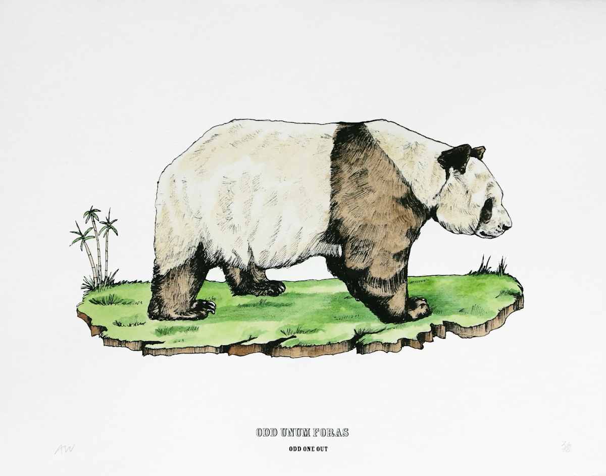 Disrupters (Qinling panda) by Anna Walsh, Image 1.