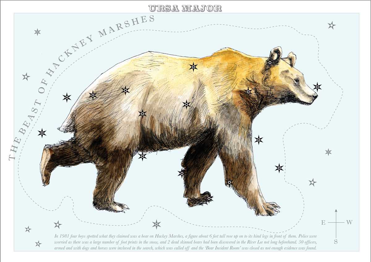 Ursa Major (The Great Bear) by Anna Walsh, Image 14.