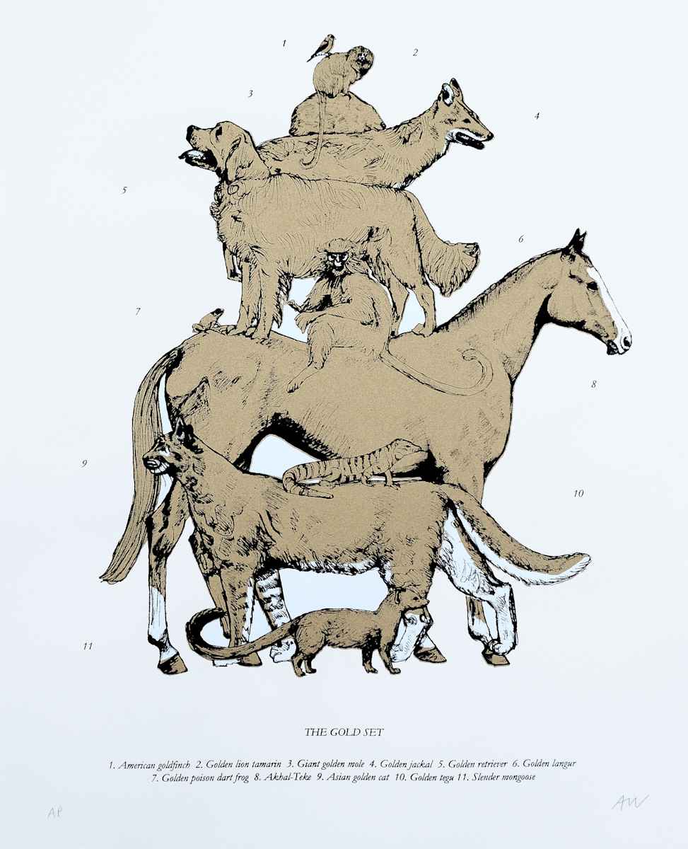 The Gold Set by Anna Walsh, Image 3.