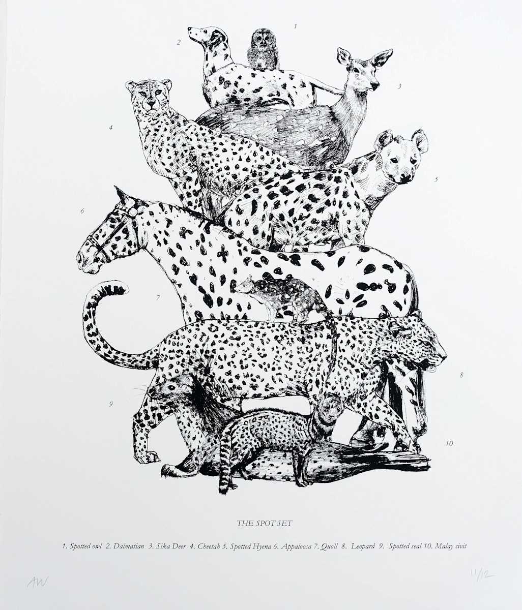 The Spot Set by Anna Walsh, Image 2.