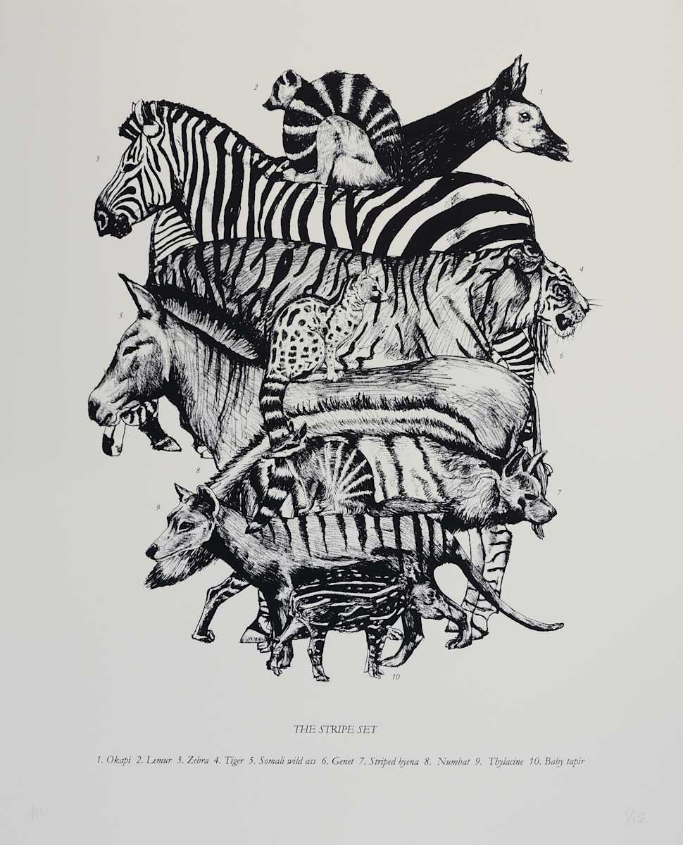 The Stripe Set by Anna Walsh, Image 1.